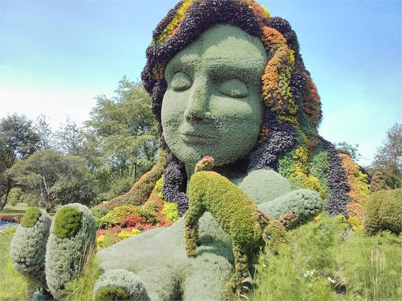 Pas d'image