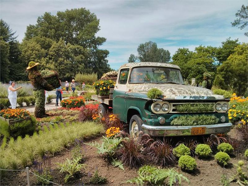 Pas d'image