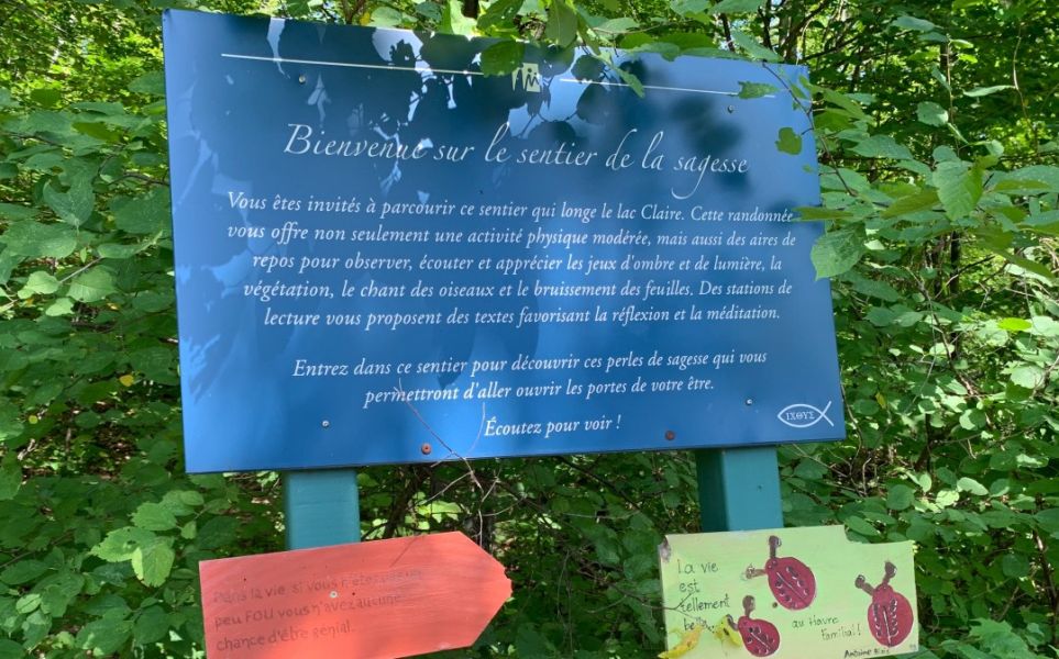 Pas d'image